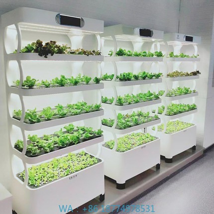 Diy Automation - 수경재배 자동화 시스템 지능형 수경재배 시스템